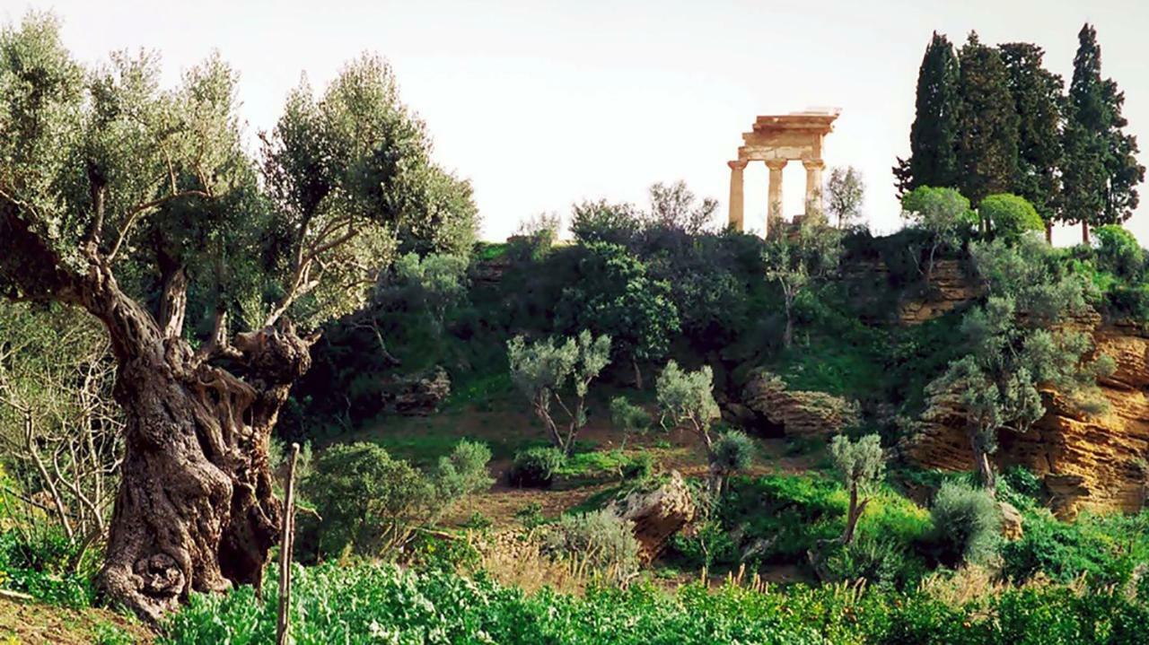 La Città degli Dei Agrigento Esterno foto