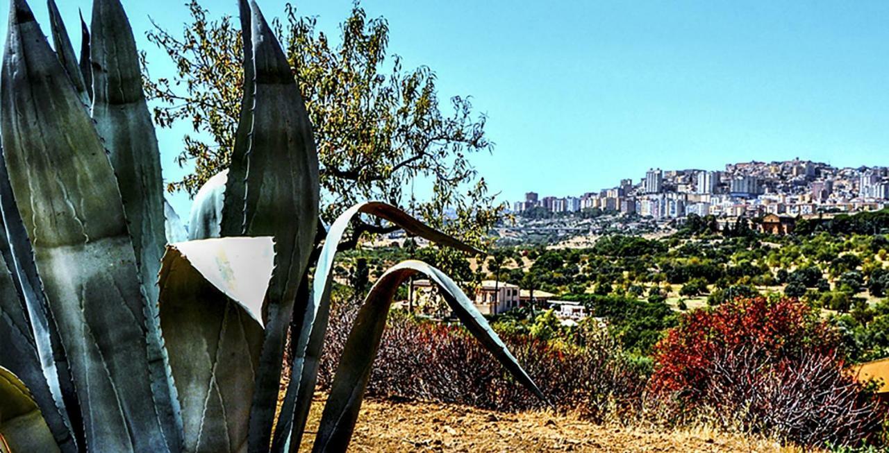 La Città degli Dei Agrigento Esterno foto