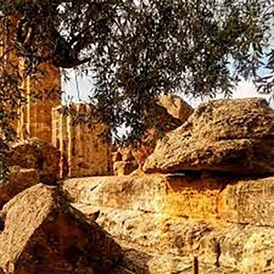 La Città degli Dei Agrigento Esterno foto